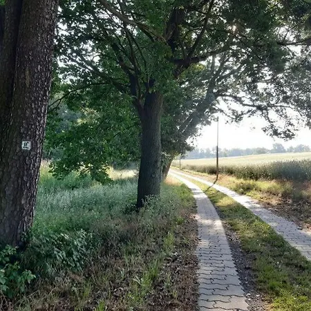 Heidehof Ochsensaal * Dahlen