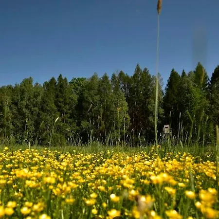Heidehof Ochsensaal * Dahlen